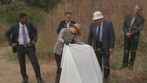 The Closer Season 5 Episode 8 - Elysian Fields