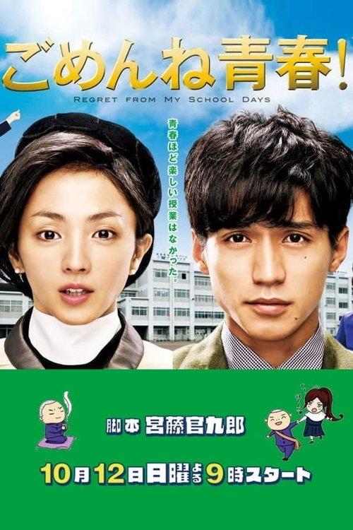 Saving My Stupid Youth poster