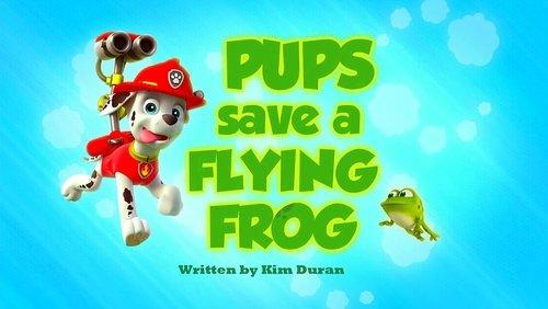 undefined Season 2 Episode 2 - Pups Save a Flying Frog