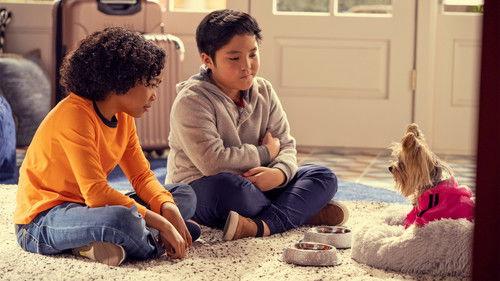 Puppy Place Season 1 Episode 6 - Princess