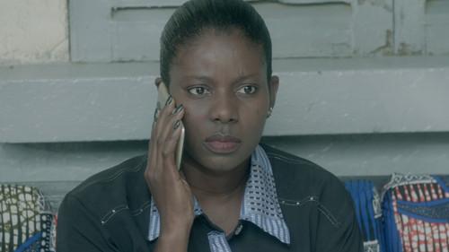 Background image for Praying Mantis