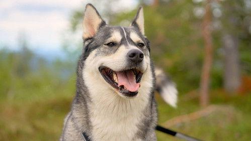 From bully to best friend Season 3 Episode 3 - The shock