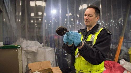 Britain's Busiest Airport: Heathrow Season 6 Episode 12 - Episode 12