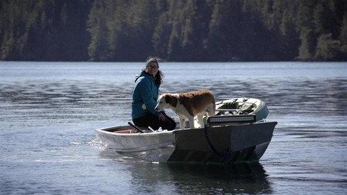 Port Protection Alaska Season 7 Episode 6 - The Beaver Trap
