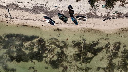 VICE News Tonight Season 7 Episode 3 - Thursday, January 19, 2023