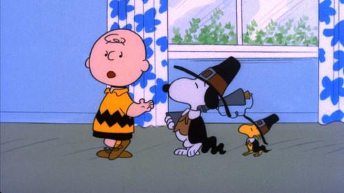 Peanuts Season 1 Episode 11 - A Charlie Brown Thanksgiving