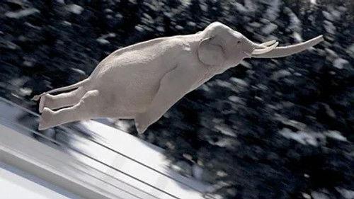 Athleticus Season 2 Episode 13 - Episode 13