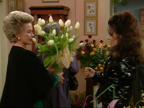 The Nanny Season 3 Episode 9 - The Two Mrs. Sheffields