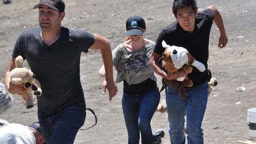 MythBusters Season 12 Episode 10 - Household Disasters