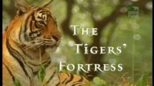 Natural World Season 19 Episode 4 - The Tigers' Fortress