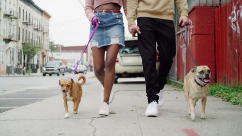 It's Bruno! Season 1 Episode 8 - Welcome Bruno