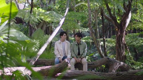 The Miracle of Teddy Bear Season 1 Episode 13 - Episode 13