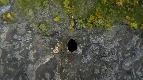 What on Earth? Season 6 Episode 5 - The Cave to Hell