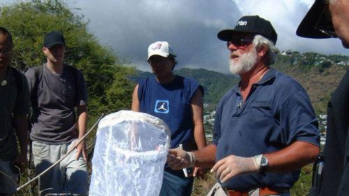 Nature Season 24 Episode 13 - Crime Scene Creatures