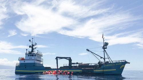 Deadliest Catch: Bloodline Season 2 Episode 8 - Cornelia Marie in Hawaii