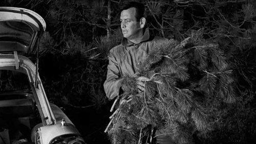 The Fugitive Season 2 Episode 5 - Nemesis