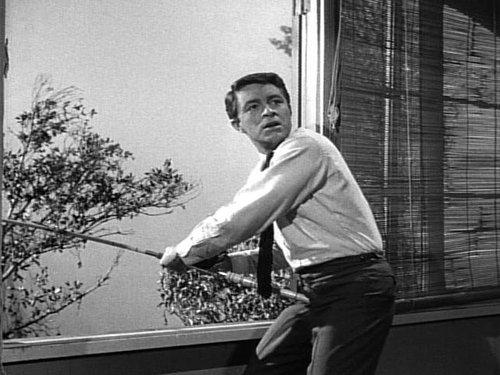 My Favorite Martian Season 2 Episode 14 - Won't You Come Home, Uncle Martin, Won't You Come Home?