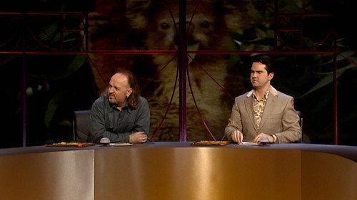 QI Season 2 Episode 5 - Bears