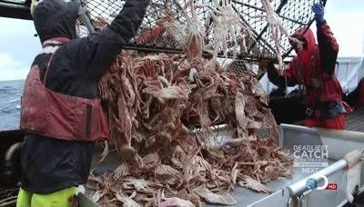 Deadliest Catch Season 8 Episode 12 - Collision Course