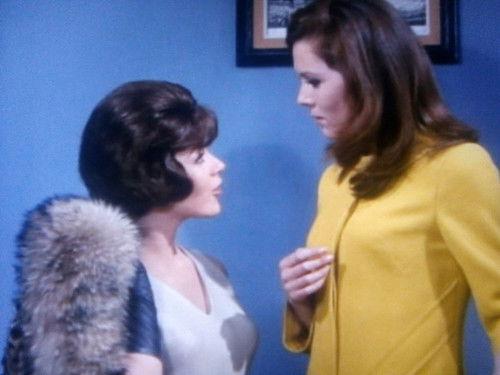 undefined Season 6 Episode 1 - The Forget-Me-Knot