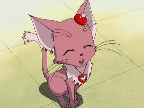 Sugar Sugar Rune Season 1 Episode 12 - Chocola turns into a Cat!?