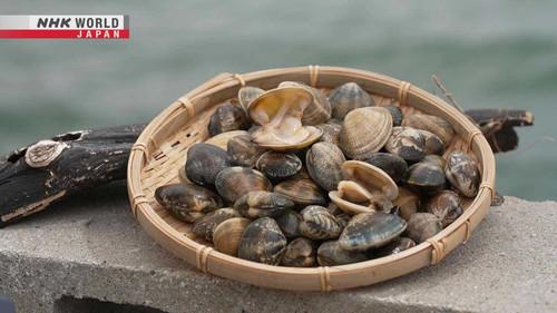 Trails to Oishii Tokyo Season 7 Episode 10 - Asari