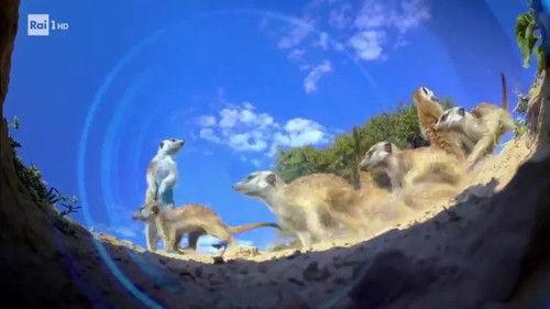 Superquark Season 24 Episode 3 - Episode 3