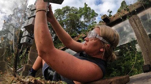 I'm a Celebrity...Get Me Out of Here! Season 23 Episode 1 - Pole Position / Temple of Doom