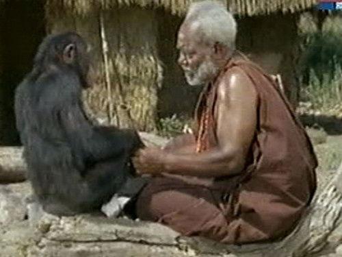 Daktari Season 3 Episode 19 - The Big Switch