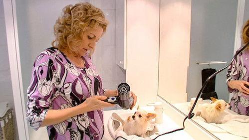 De Pfaffs Season 11 Episode 14 - Aflevering 14