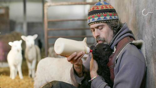 Hjälp, vi har köpt en bondgård! Season 2 Episode 1 - "I MUST Build a Greenhouse"