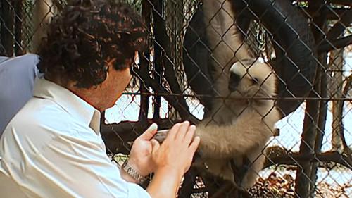 Monkey Business Season 7 Episode 5 - Episode 5