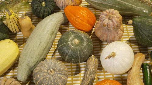 Trails to Oishii Tokyo Season 6 Episode 21 - KABOCHA