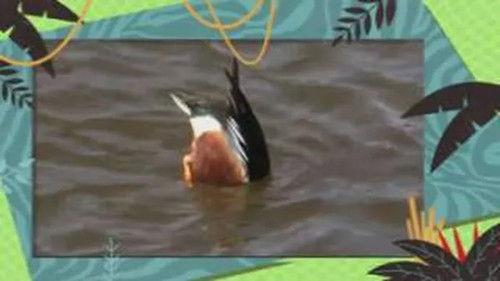 Kukurota Season 1 Episode 6 - Episode 6