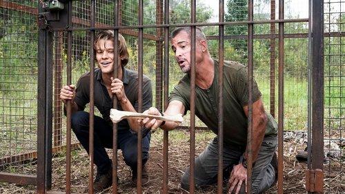 undefined Season 3 Episode 9 - Specimen 234 + PAPR + Outbreak