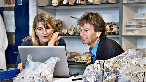 Michael Wood's Story Of England Season 1 Episode 3 - The Great Famine And The Black Death