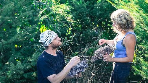 Original Fare Season 4 Episode 3 - Cider