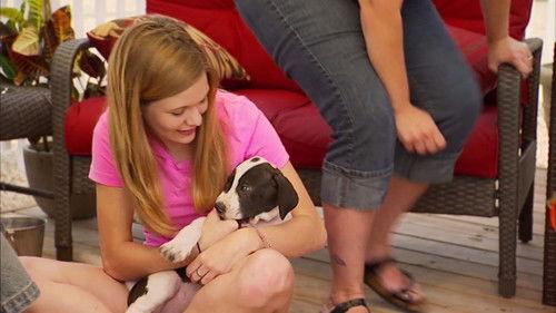 Pit Bulls and Parolees Season 5 Episode 4 - Puppy-Palooza