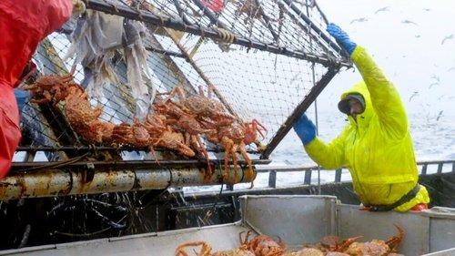 Deadliest Catch Season 19 Episode 18 - Disorder on the Border