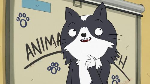 undefined Season 1 Episode 2 - Animal of the Month
