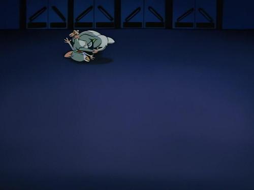 Pinky and the Brain Season 1 Episode 15 - Fly