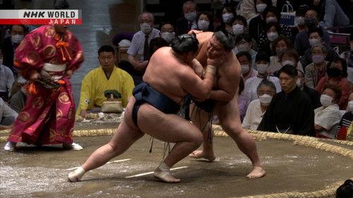 GRAND SUMO Highlights Season 11 Episode 5 - Day 5