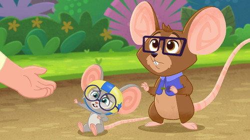 Vida the Vet Season 2 Episode 9 - Baby Mouse’s First Step