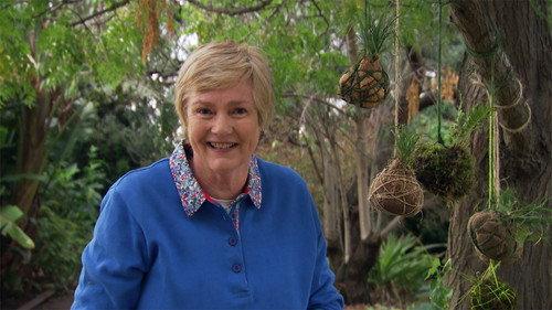 Gardening Australia Season 29 Episode 12 - Episode 12