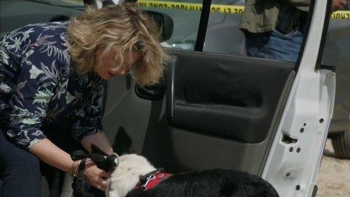 undefined Season 6 Episode 5 - A Dog Is a Man's Best Friend