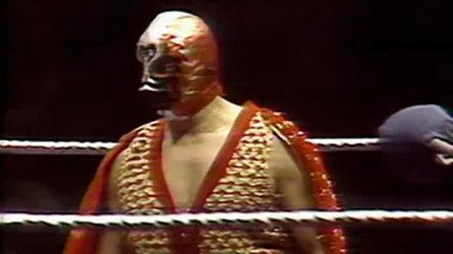 WWE Old School Season 4 Episode 5 - Madison Square Garden: Dec. 19, 1977