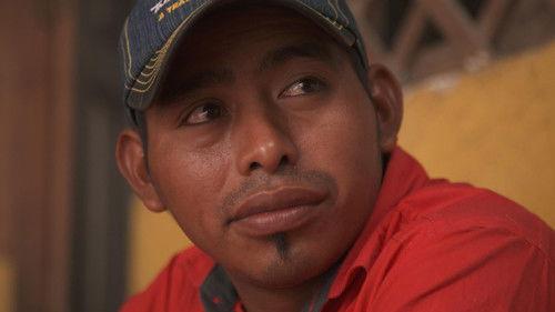 Unreported World Season 22 Episode 2 - Uprooted by Crisis