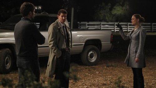 undefined Season 5 Episode 13 - The Dentist in the Ditch