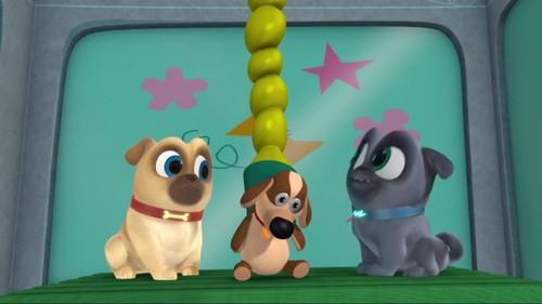 Puppy Dog Pals Season 1 Episode 9 - Design-a-dog
