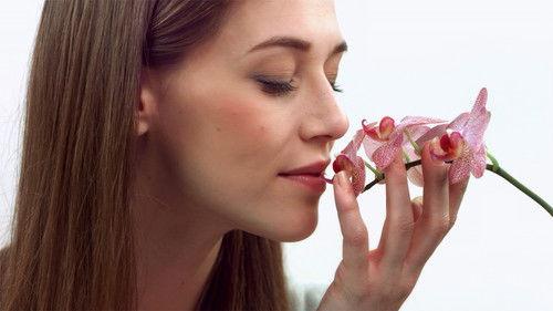 Ask the Doctor Season 1 Episode 11 - Senses